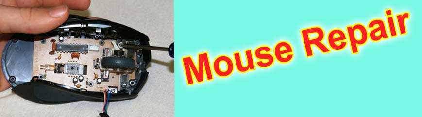 All Types of Mouse Repair